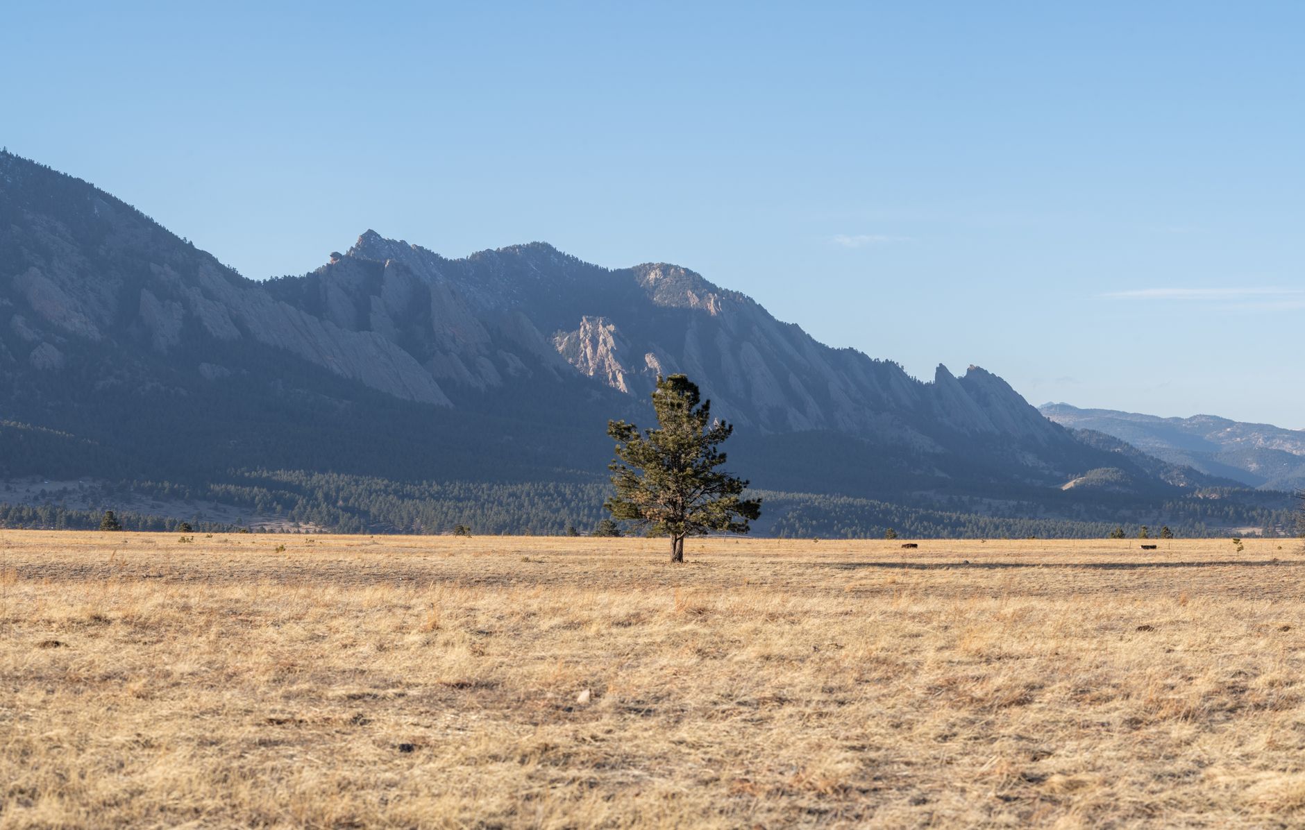 Two Days in Colorado: Should I Visit Boulder or Just Denver?