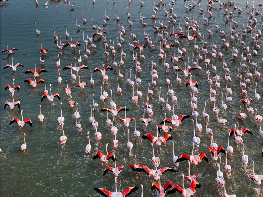 Lake Natron, Tanzania