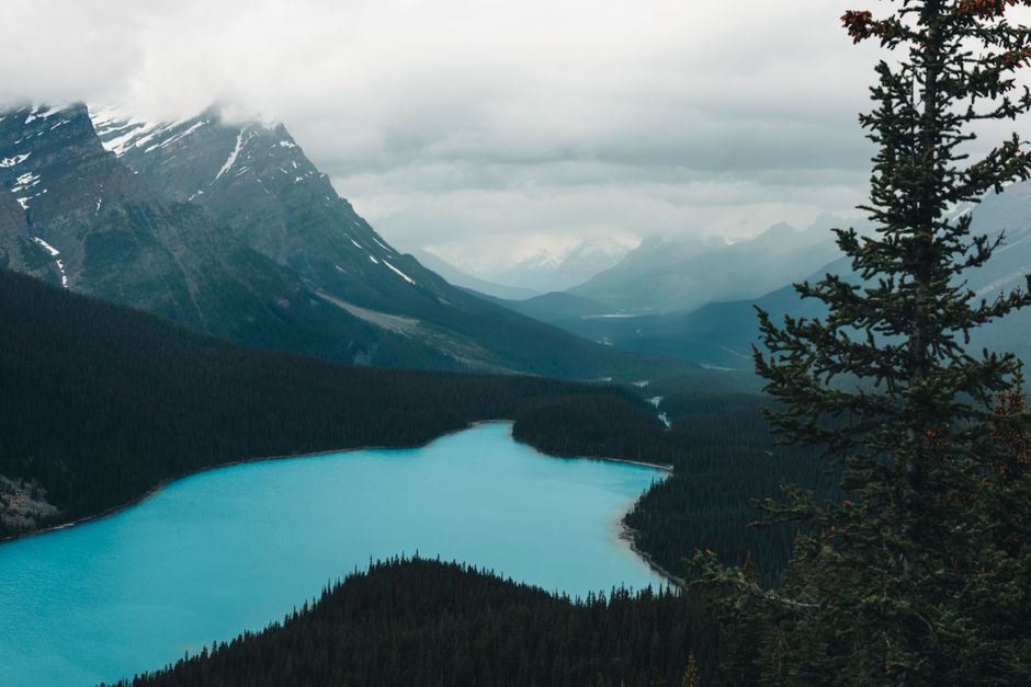 Peyto Lake, Banff National Park, Canada
