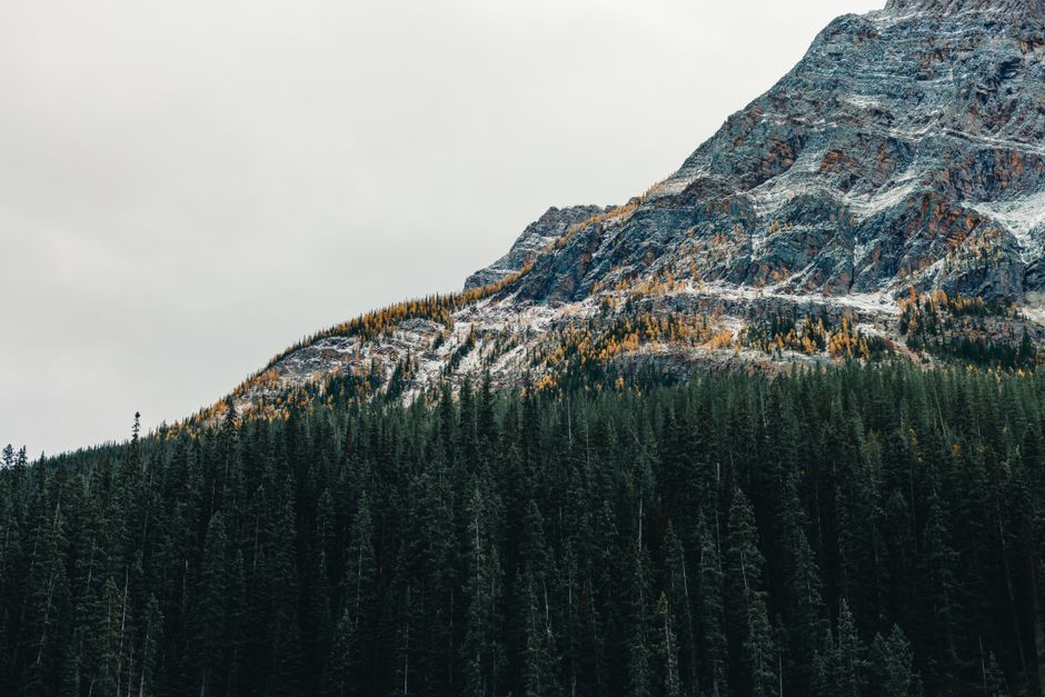 Consolation Lakes, Banff National Park, Canada