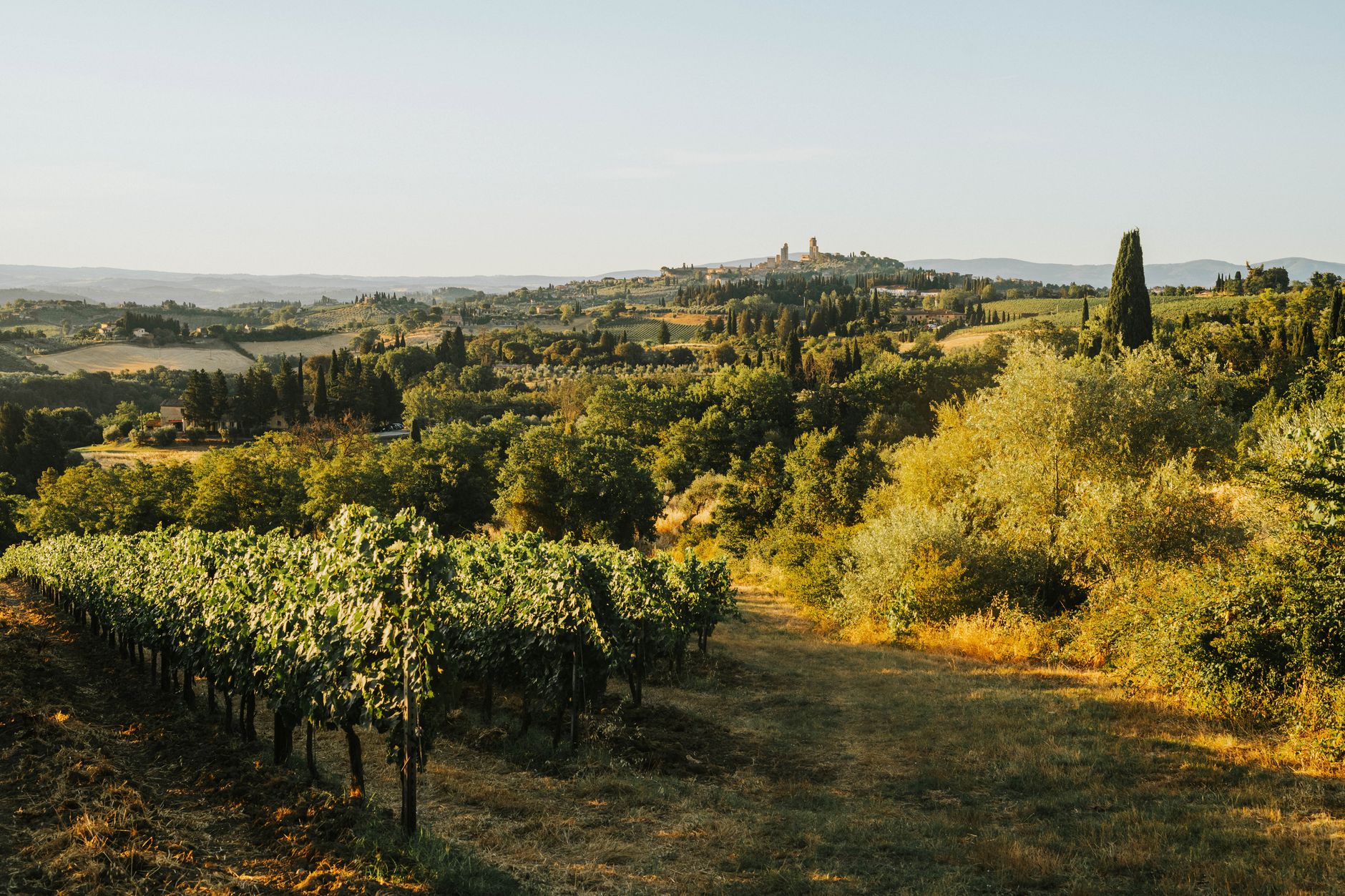 A sweeping panoramic view of the rolling green and golden hills of the Italian countryside, dotted with cypress trees and ancient stone farmhouses under a clear blue sky, evoking a journey through Tuscany.