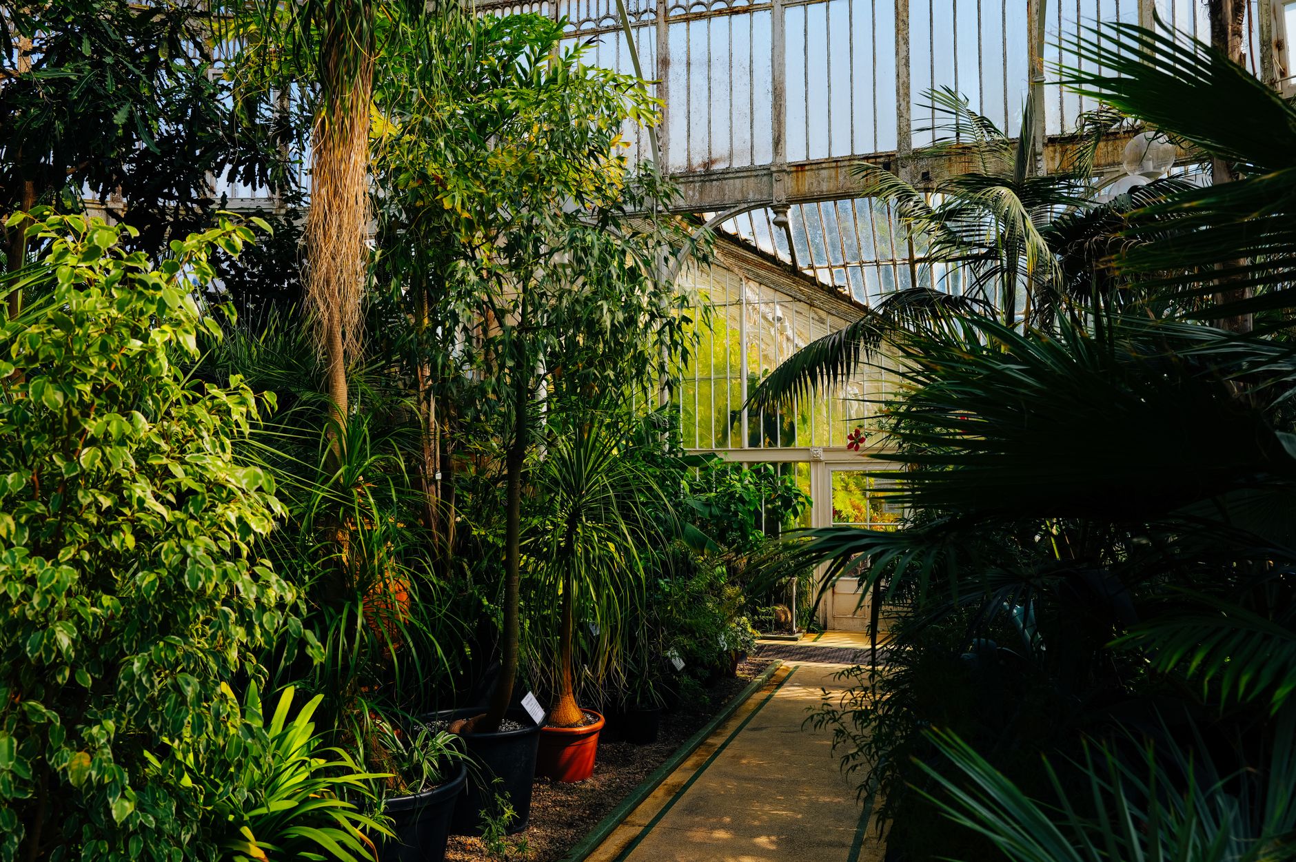 Poznań Palm House, Poznań, Poland