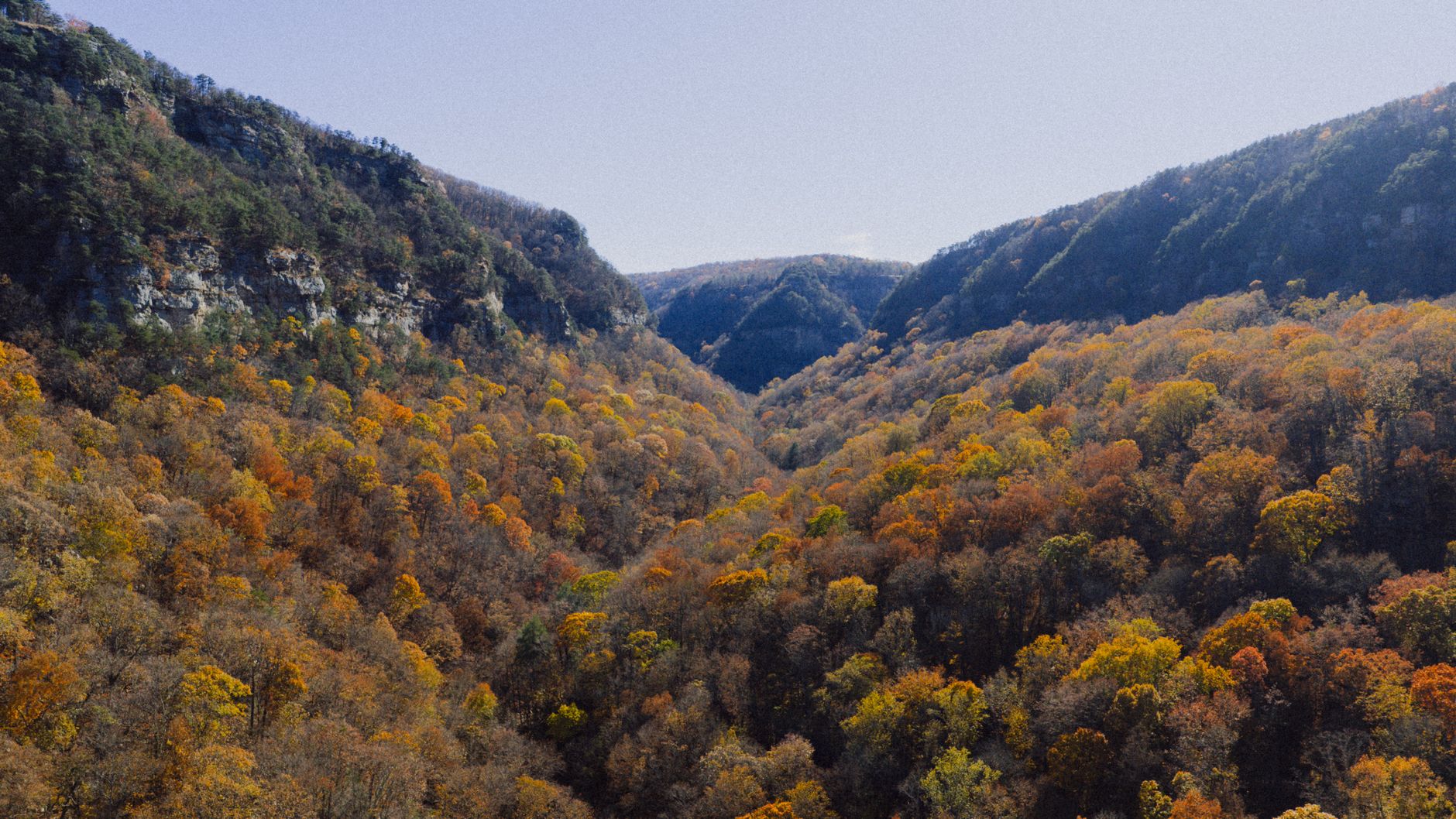 A wide, panoramic view of a mountain range in Nikko National Park, Japan, bathed in the vibrant red, orange, and yellow hues of autumn foliage under a clear sky.