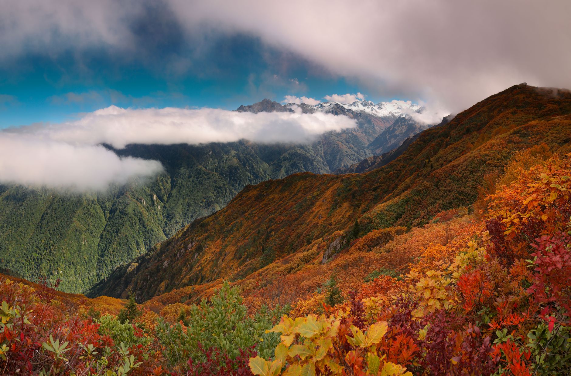 Konsei Pass, Nikko, Japan