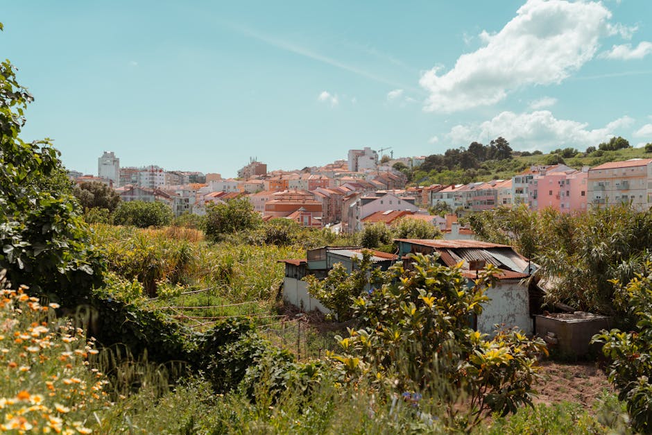 Arroios, Lisbon, Portugal