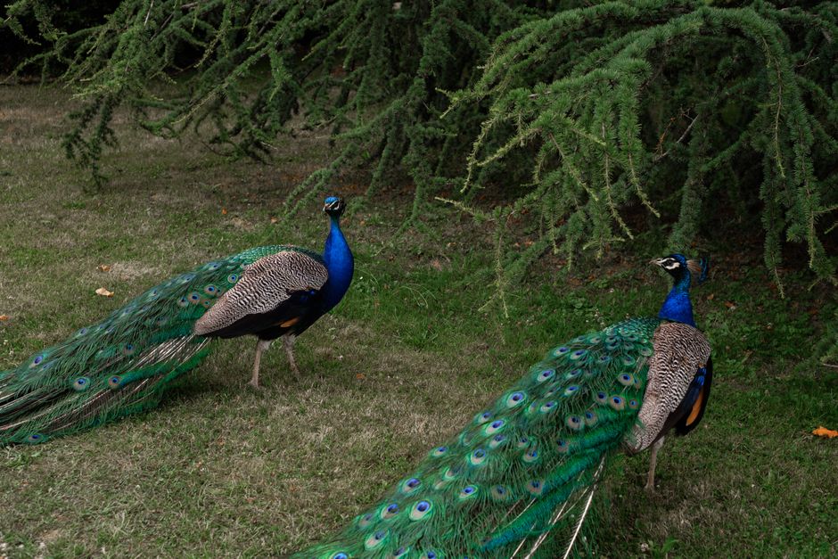 Berlin, Germany