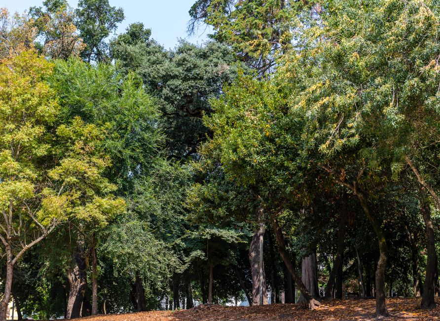 Parque Fuente del Berro, Spain