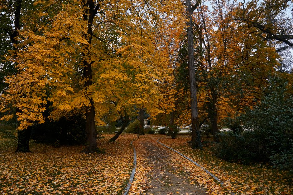 Real Jardín Botánico, Spain