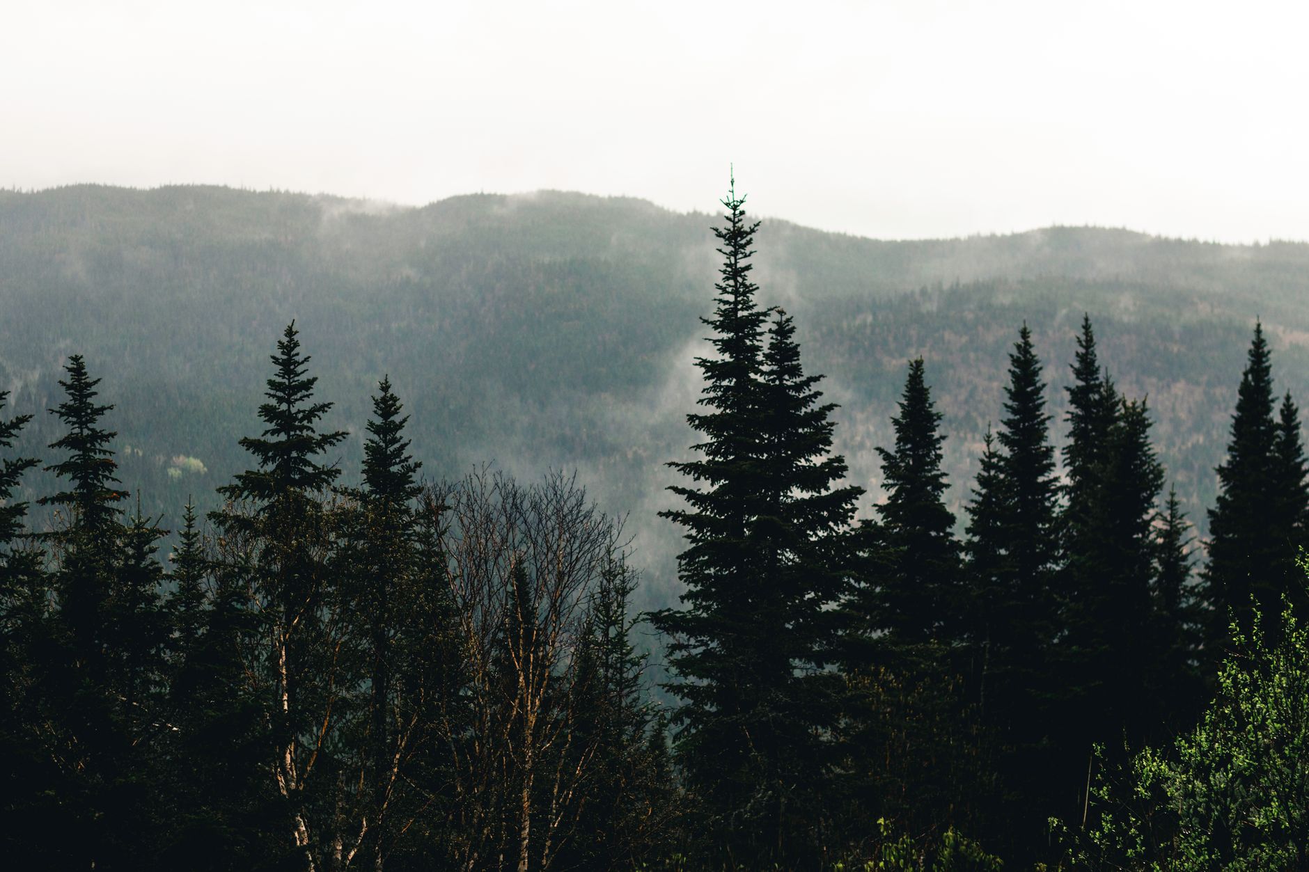 A sweeping panoramic view of a historic Canadian fort nestled beside a river, with autumnal trees and a soft, misty sky, symbolizing the nation's complex historical layers.