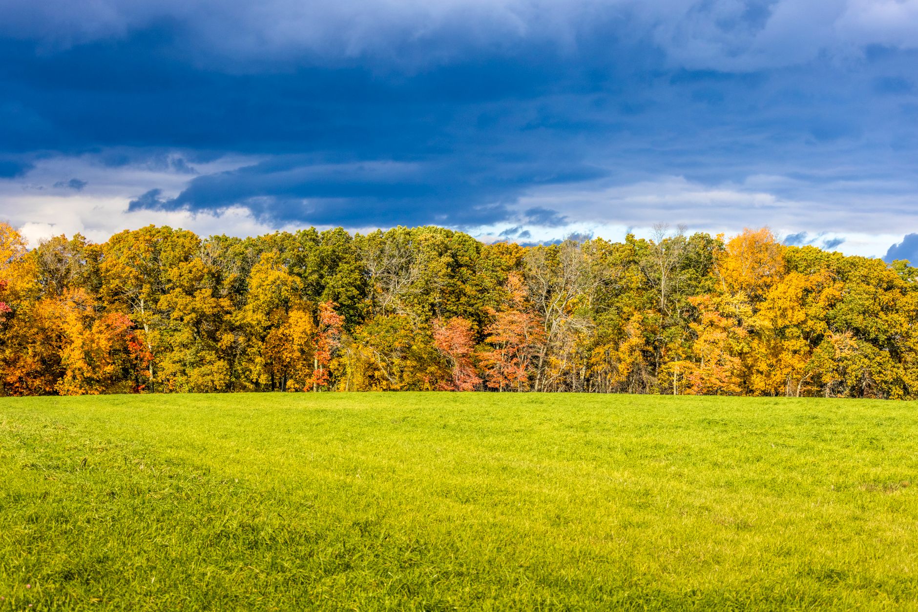 Unlock NJ's Secrets: What are the Best Things to Do in New Jersey This Weekend?