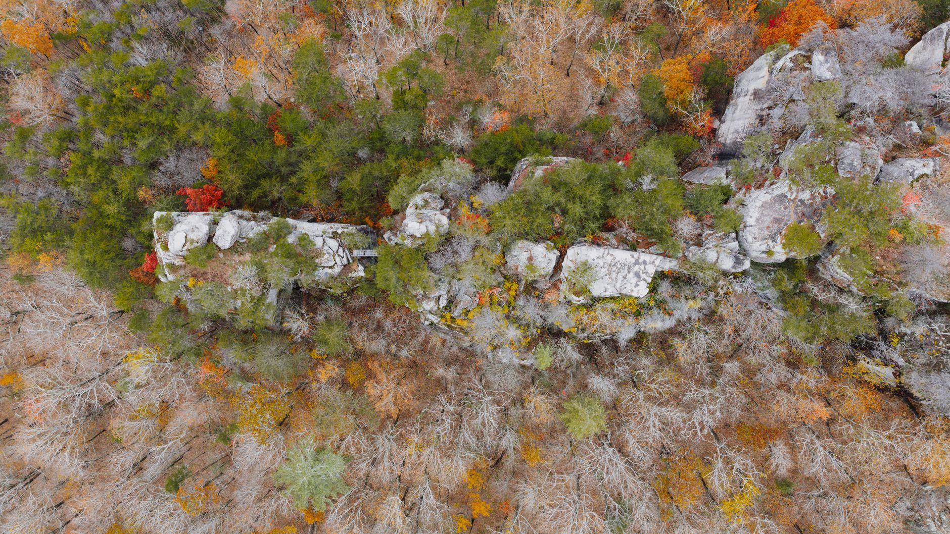 Unseen U.S.: What Makes Our Landscapes & Climates So Diverse?