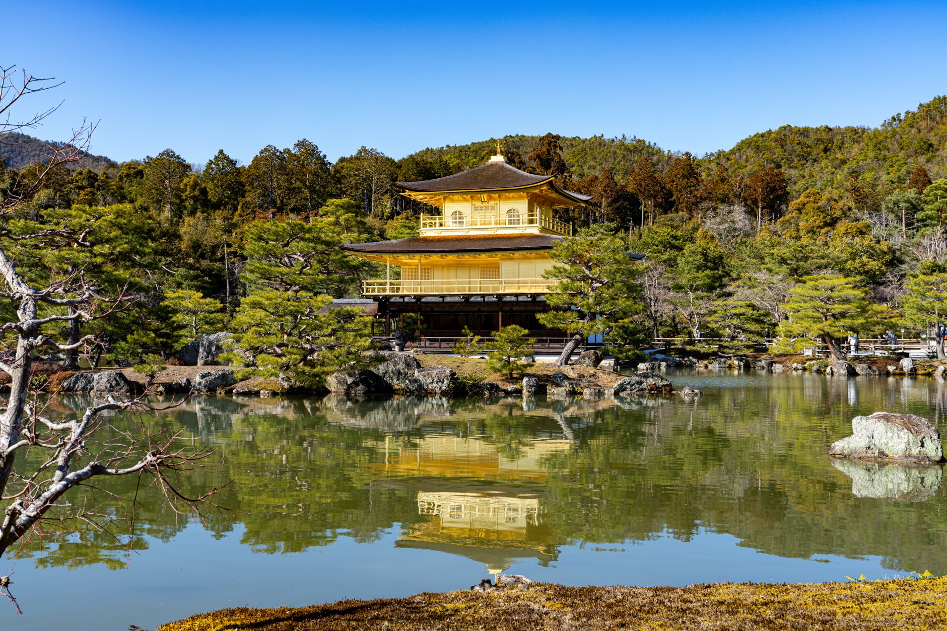 Unveiling Kyoto's Hidden Autumn Gardens: Serenity Beyond the Crowds