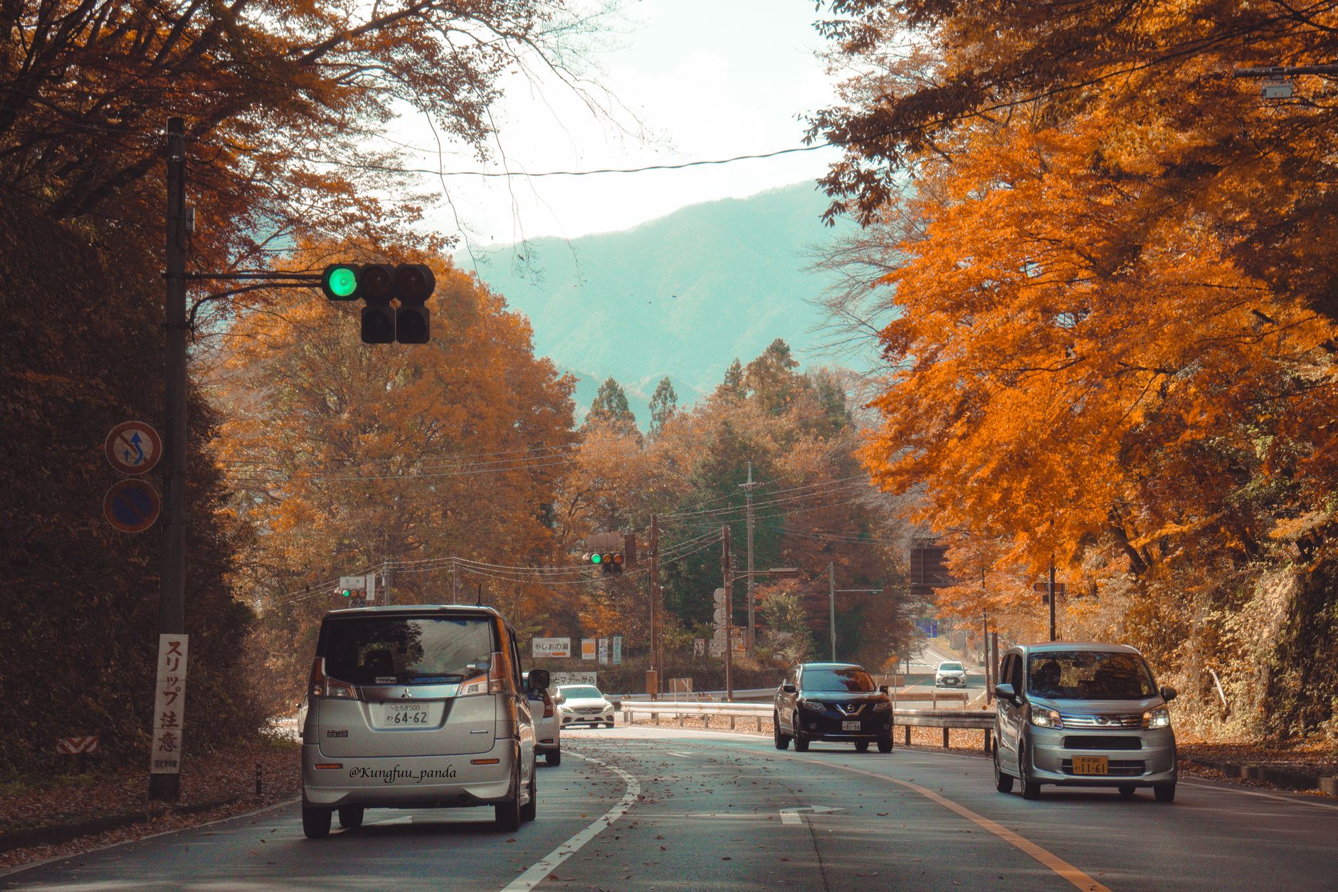 Unveiling Nikko's Secret Hues: Top Autumn Leaves Viewing Spots
