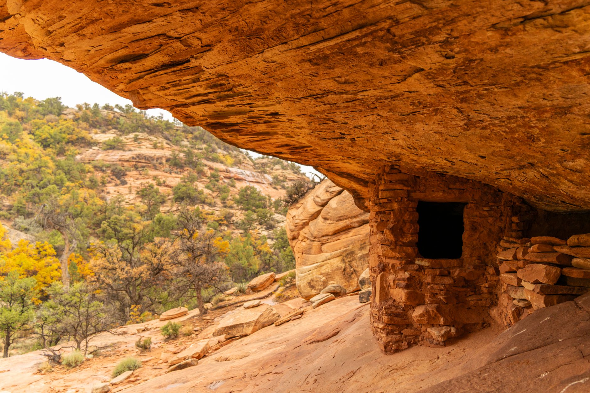 Gila Cliff Dwellings National Monument, New Mexico, USA