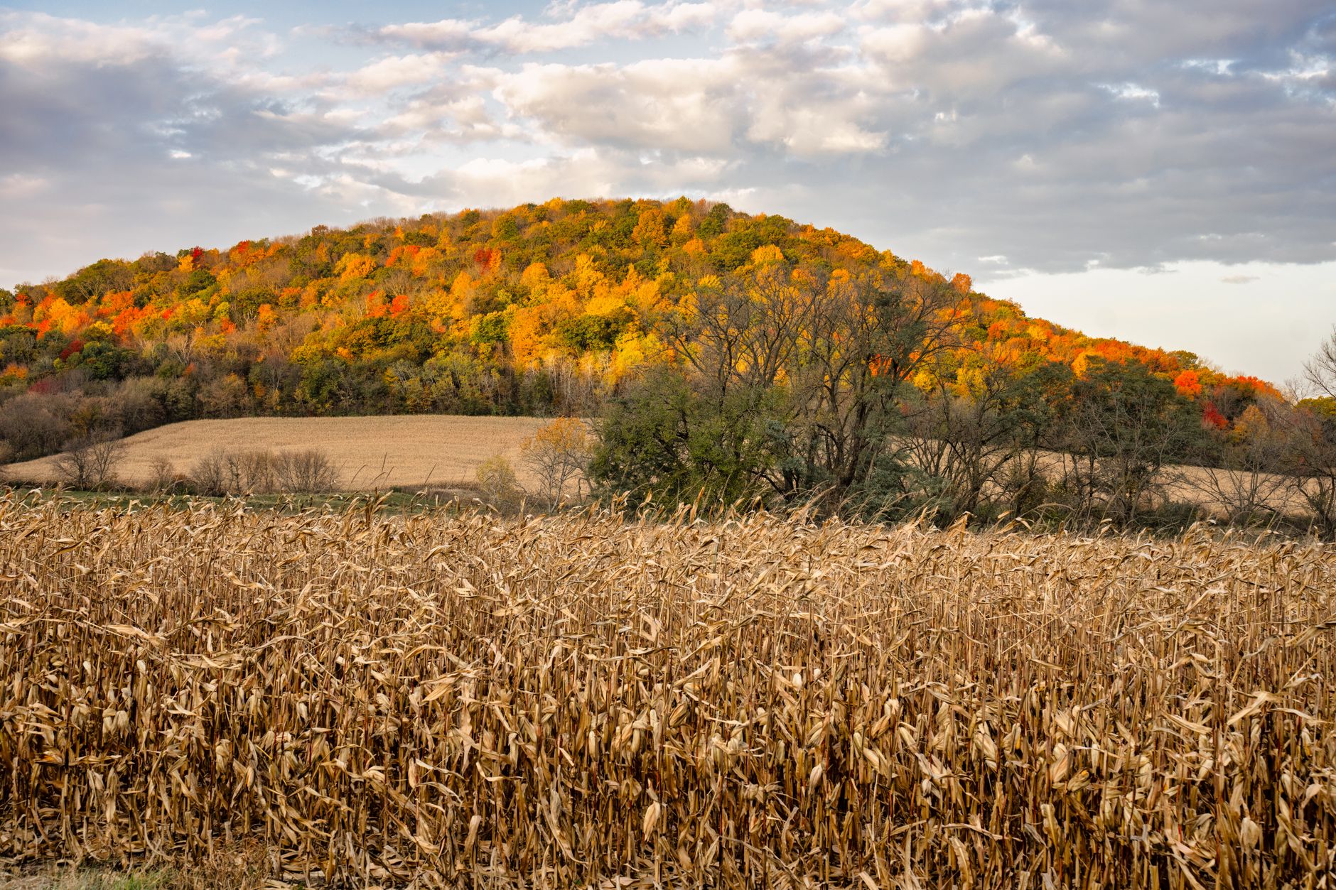 Sweeping view of Missouri's diverse landscape, showing rolling hills, a winding river, and a historic covered bridge under a vibrant sunset.