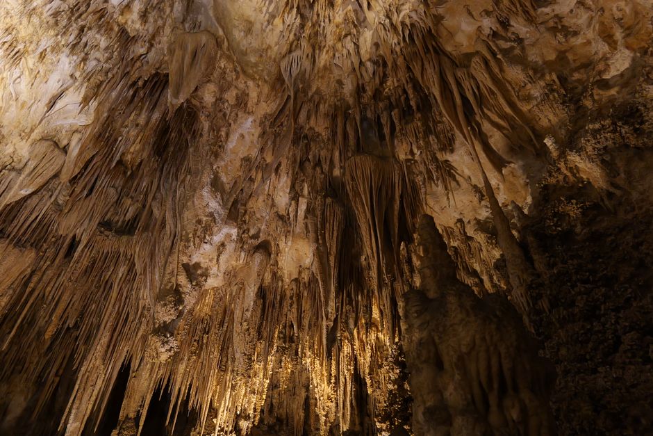 Graham Cave State Park, Missouri, USA