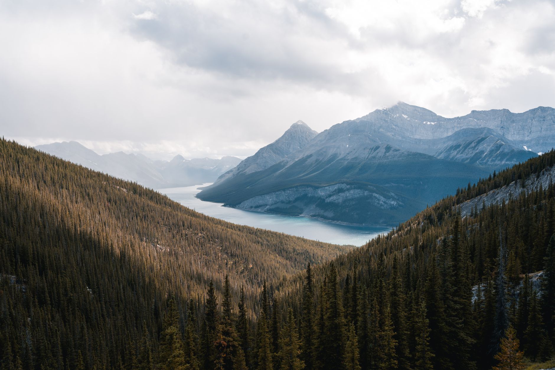 What Are Some Creative Suggestions Canadians Have for Renaming Places?