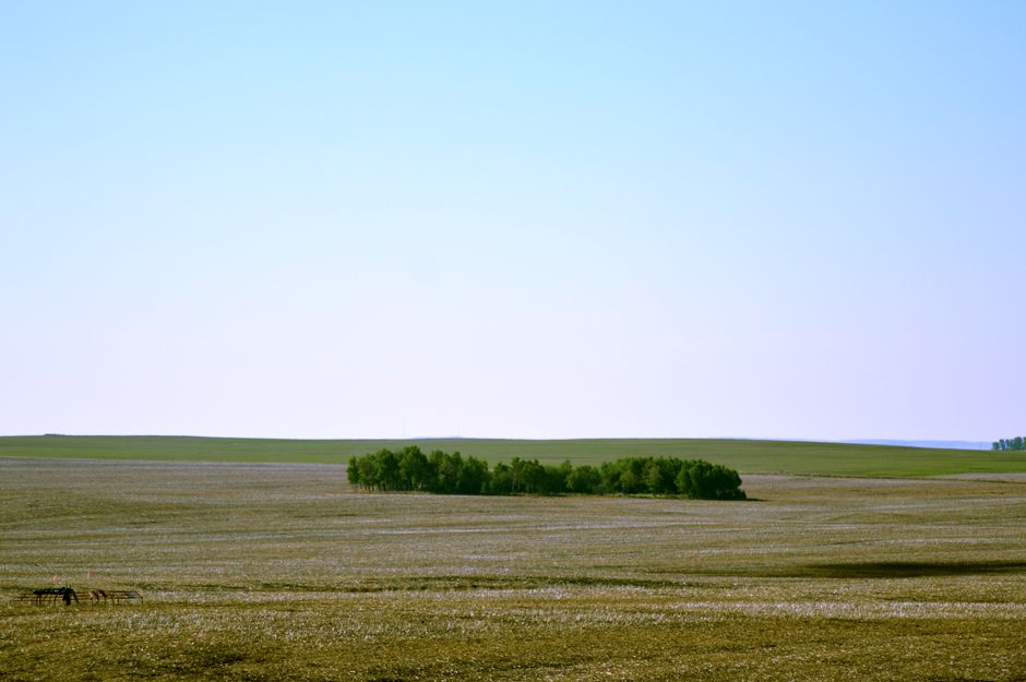Picture Butte, Alberta, Canada