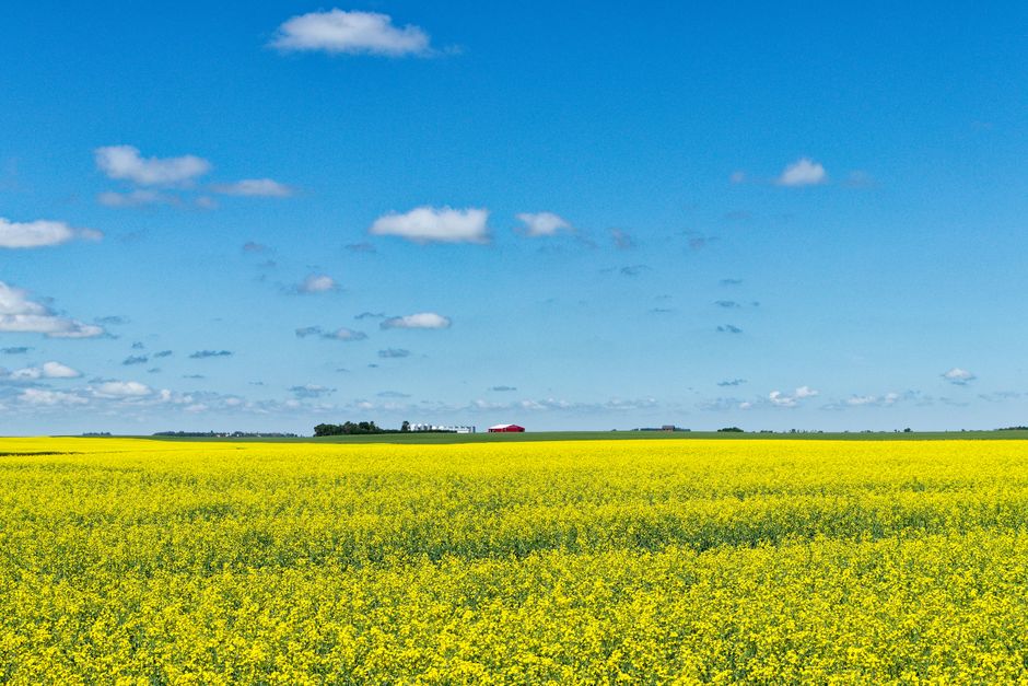 Headingley, Manitoba, Canada (Canadian Foodgrains Bank HQ)