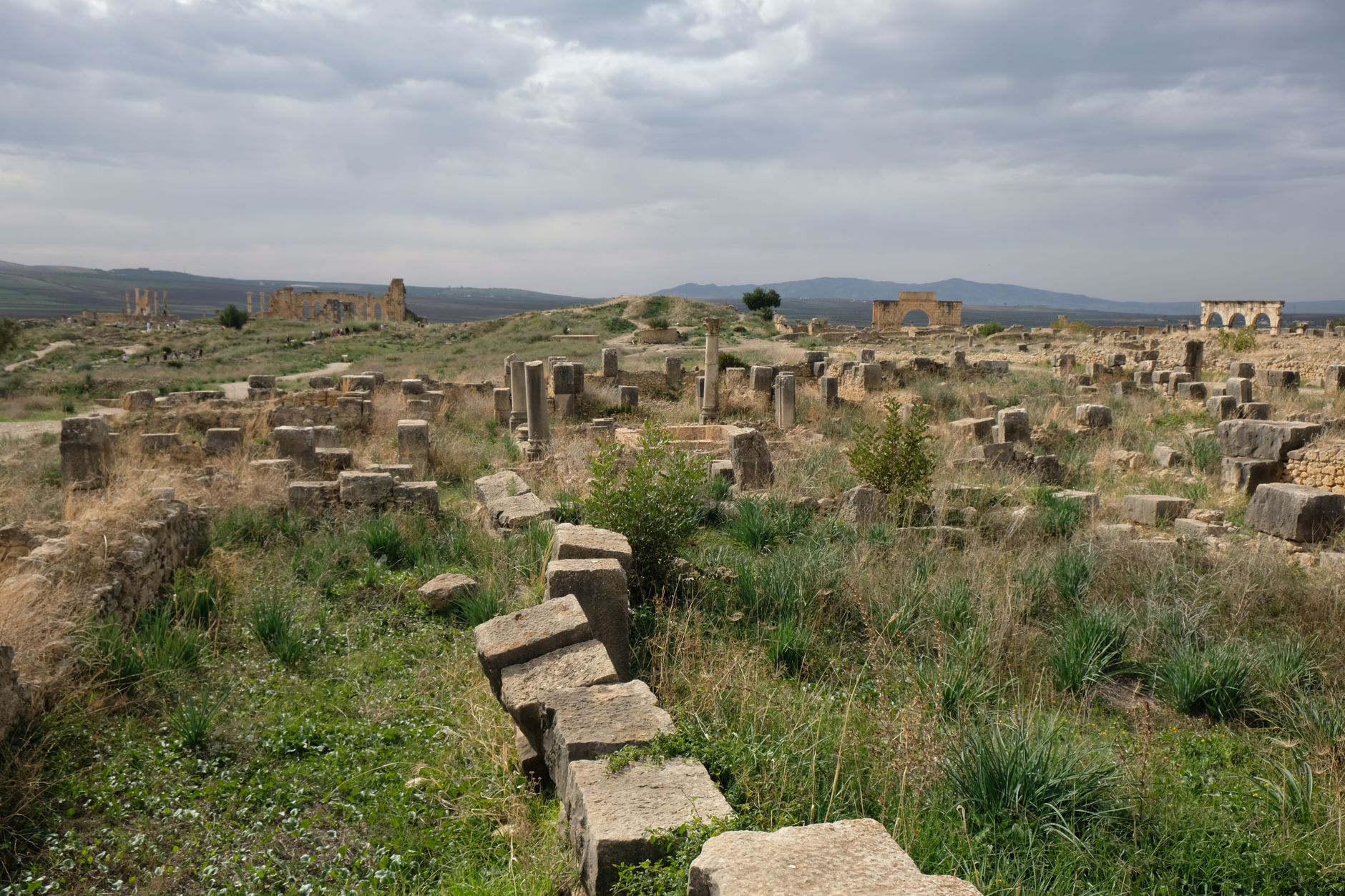 A wide shot showing ancient stone ruins partially reclaimed by nature, possibly in a desert or overgrown forest setting, under a dramatic sky.