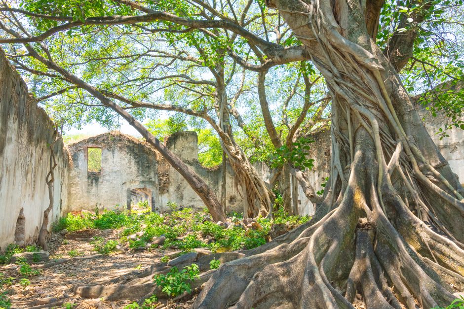 Ross Island, Andaman and Nicobar Islands, India