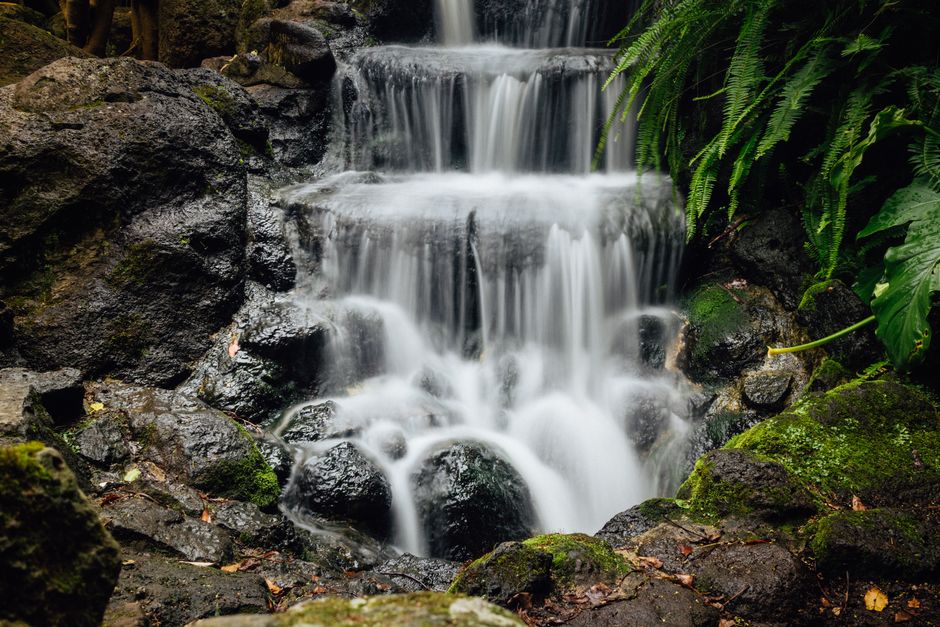 Kubota Garden, USA