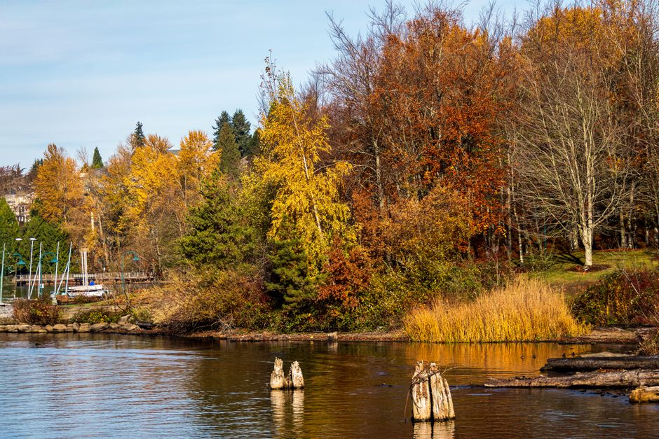 Discovery Park, USA