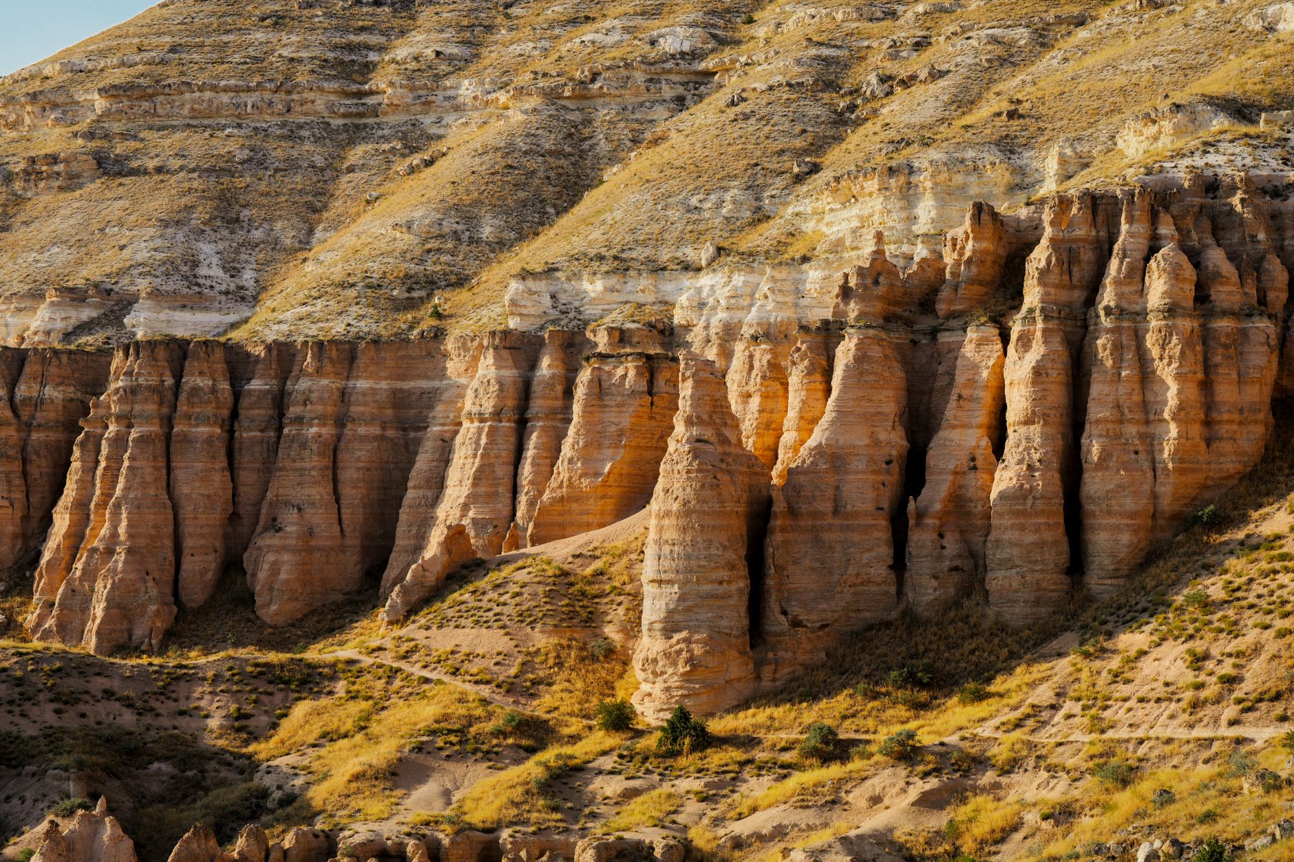 Bisti/De-Na-Zin Wilderness, New Mexico, USA