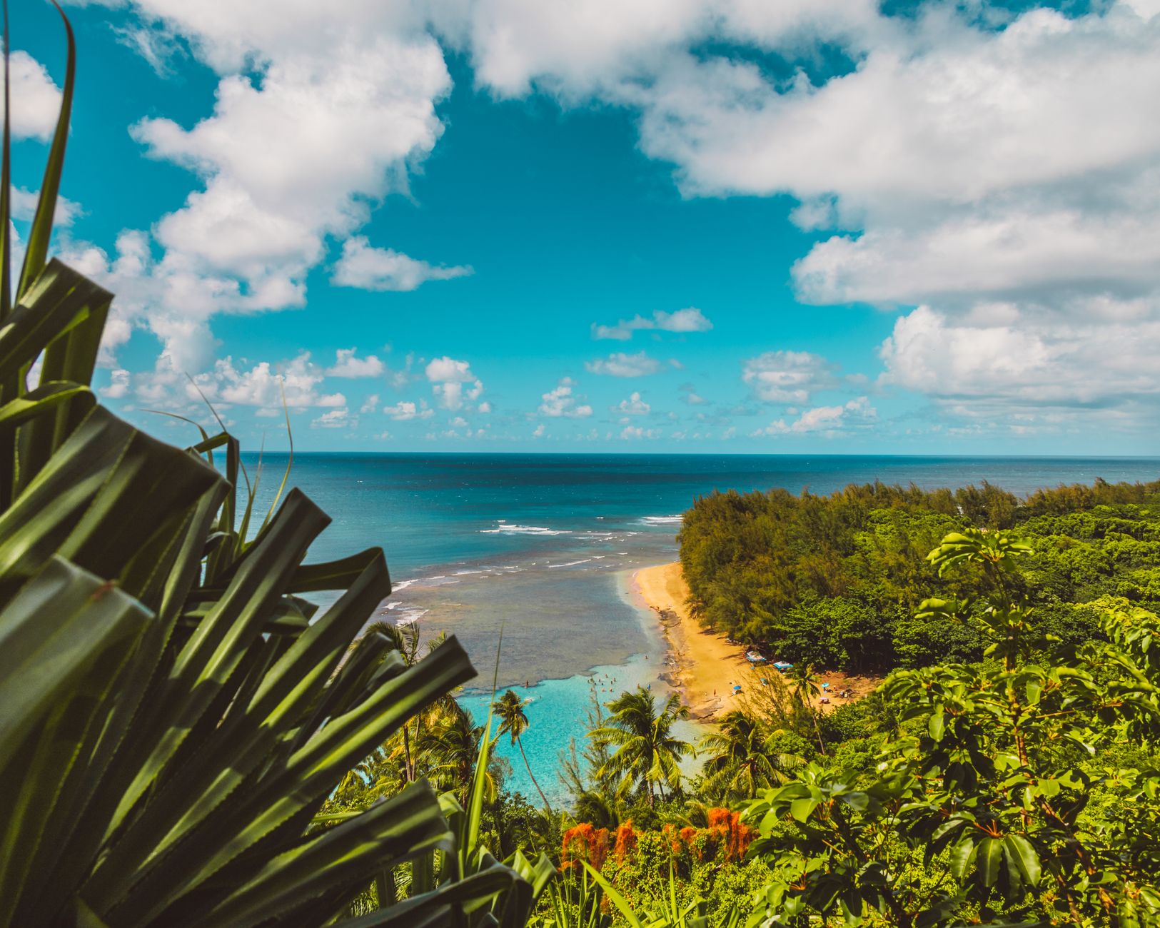 Na Pali-Kona Forest Reserve, Kauai, Hawaii, USA