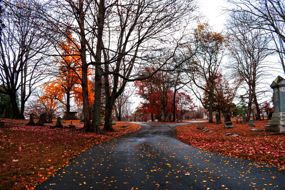 Mount Auburn Cemetery, Cambridge/Watertown, USA