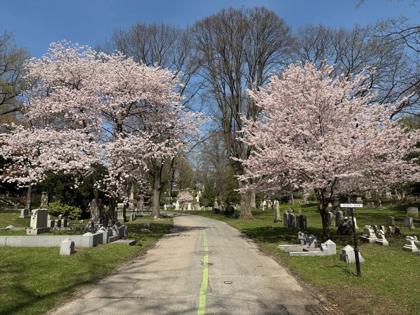 Mary Webster's Grave, Hadley, USA