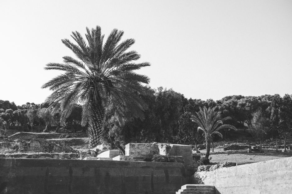 Shields Date Garden, Indio, USA