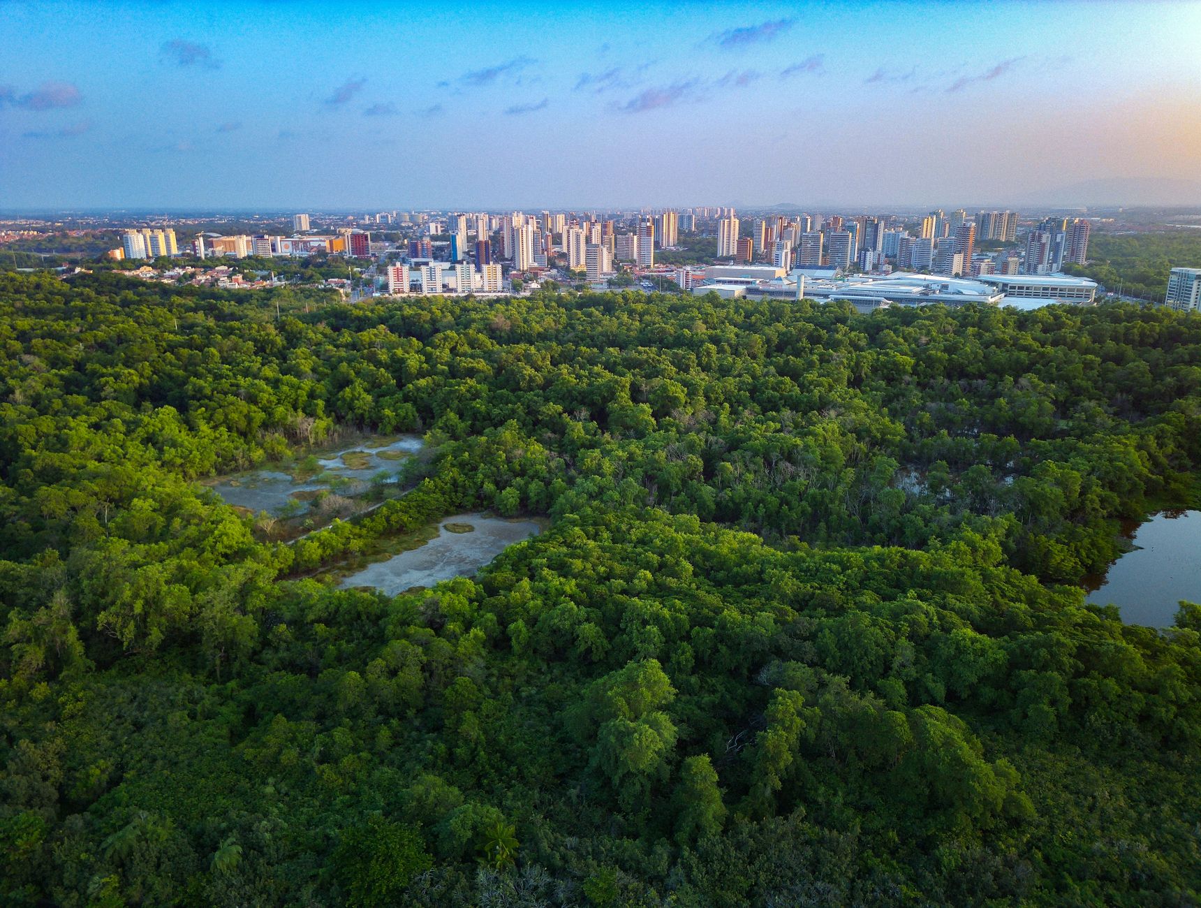 An aerial view of a modern, green cityscape with skyscrapers, lush parks, and advanced infrastructure, symbolizing global urban planning.