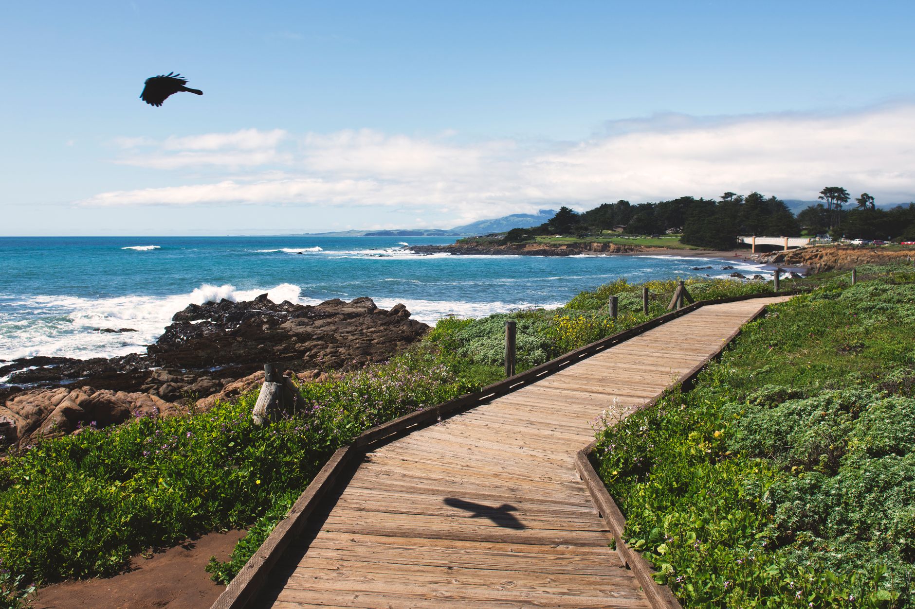 What are some touristic spots to visit in Cambria, California? Uncover 8 Hidden Gems