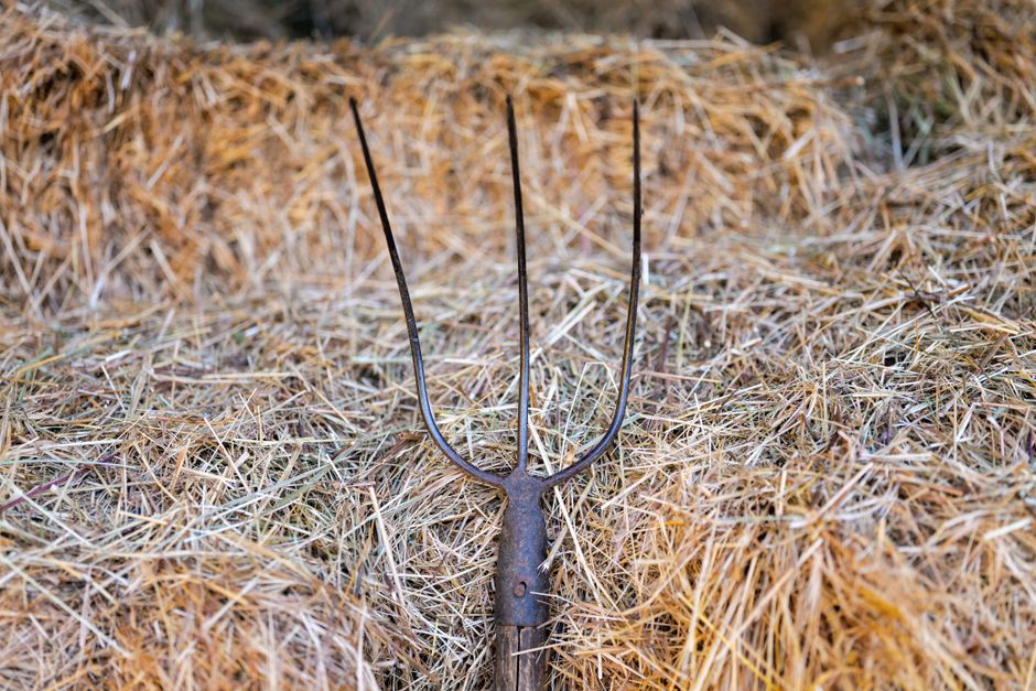 Howell Living History Farm, Hopewell Township, USA