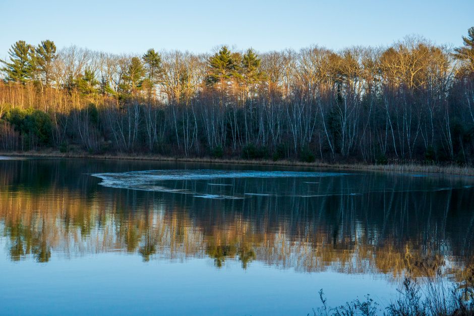 Wharton State Forest, Winslow Township, USA