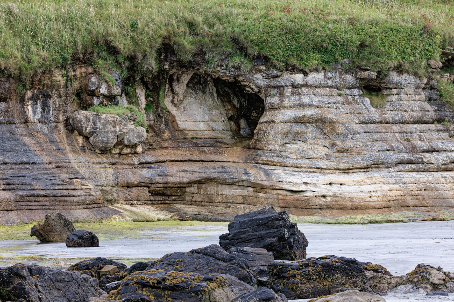 The Catlins Coast, New Zealand
