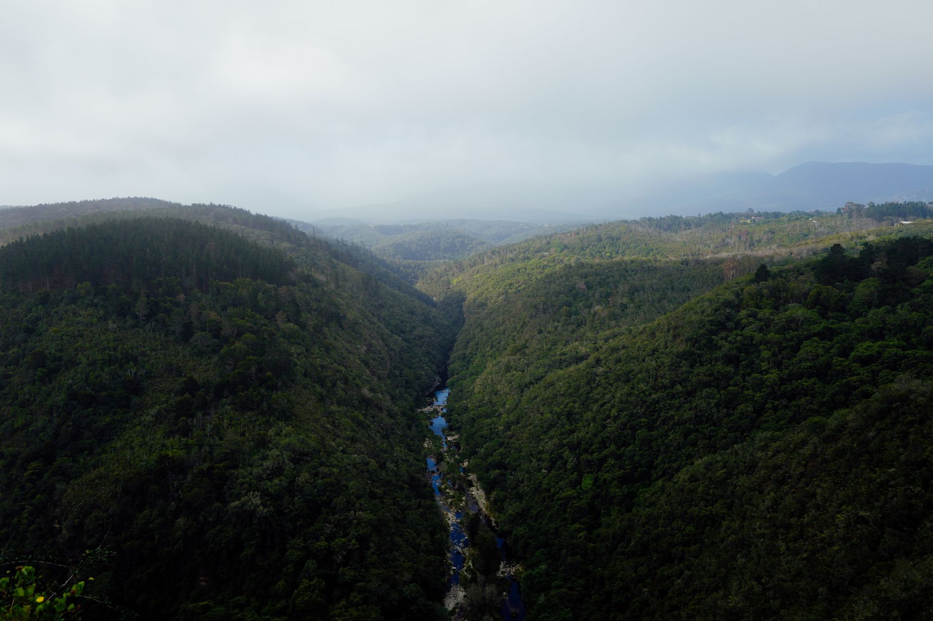 Whanganui Journey, New Zealand
