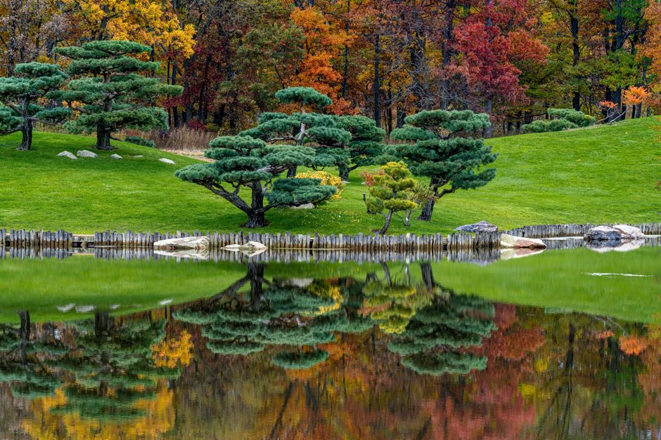 Como Park Japanese Garden, St. Paul, Minnesota, USA