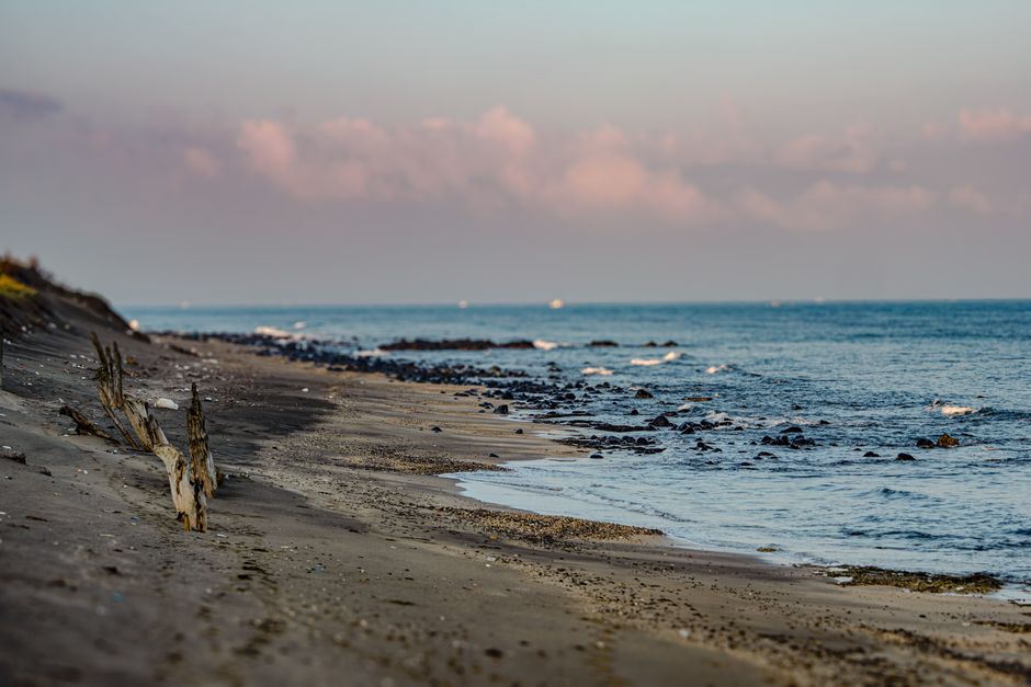 Edisto Island, USA