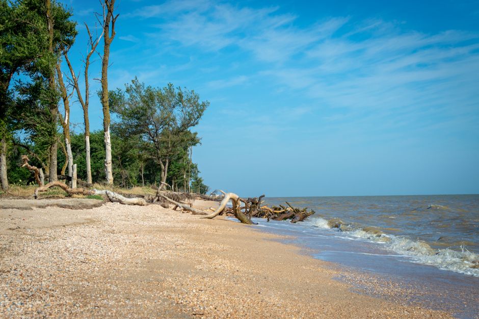 Awendaw, USA