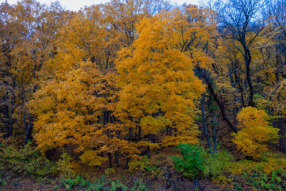 Pennsville, New Jersey, USA