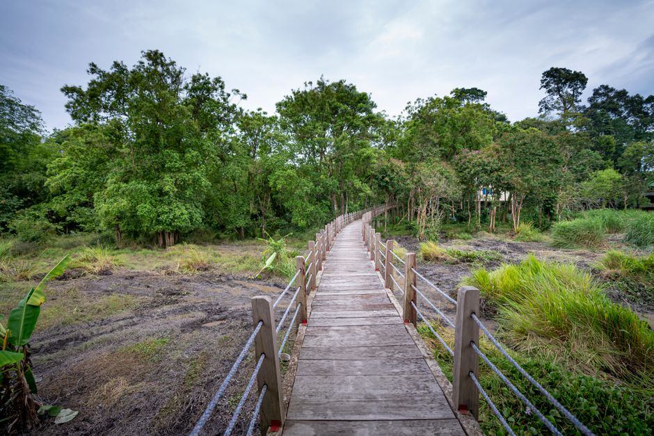 Phu Thok, Bueng Kan, Thailand