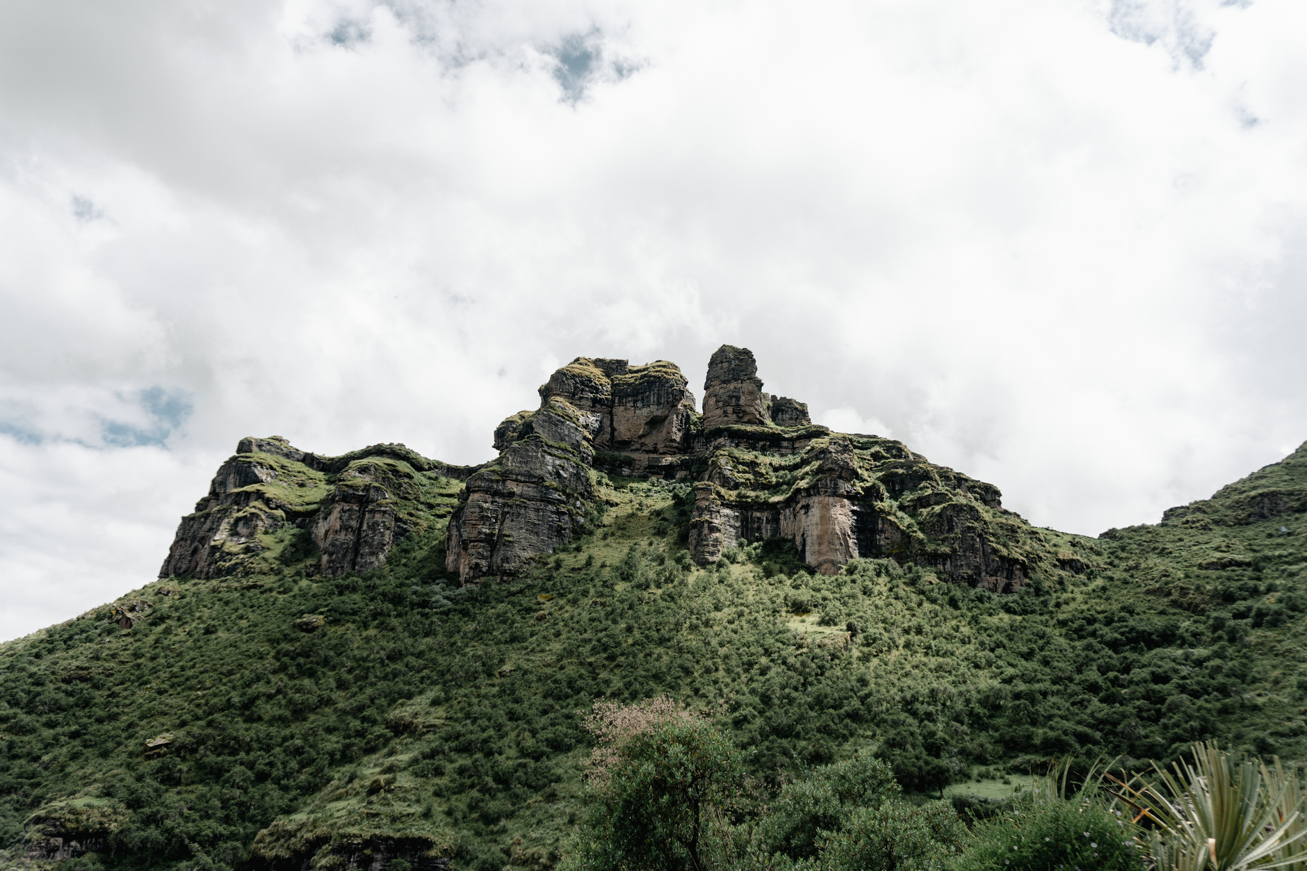 A vibrant collage of diverse travel scenes, including ancient ruins, lush landscapes, and unique cultural sites, representing global summer adventures.
