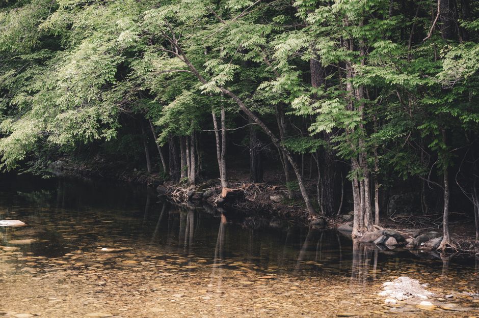 Katahdin Woods and Waters National Monument, USA