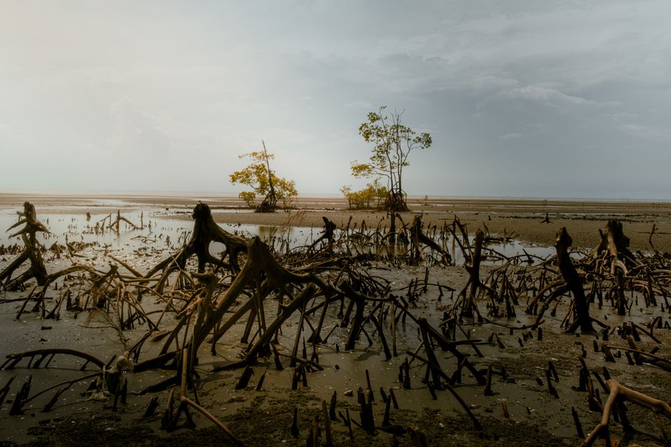 Playa Las Lupitas, Teacapán, Sinaloa, Mexico