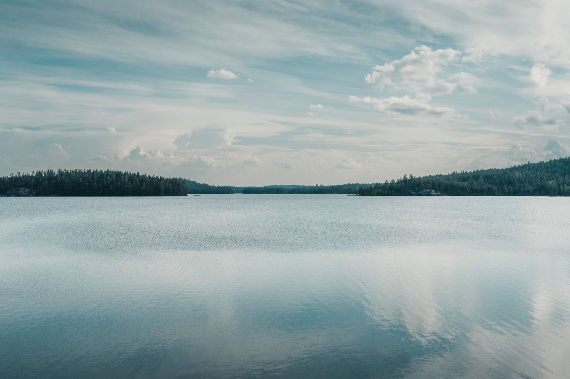 A panoramic view of a vast, untouched Finnish wilderness, with dense boreal forests stretching to a distant horizon under a misty sunrise sky.