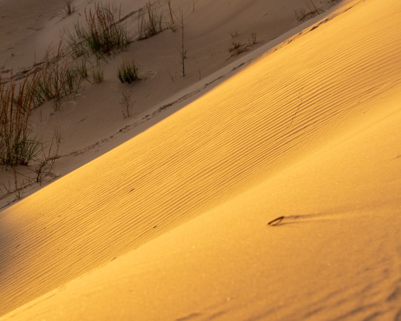 Monahans, Texas, USA