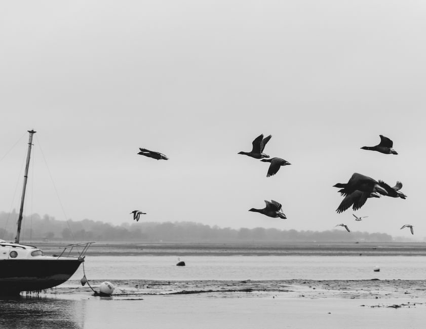 Braddock Bay Wildlife Management Area, Hilton, NY, USA