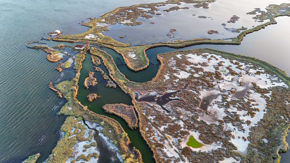 Sapelo Island, Georgia, USA